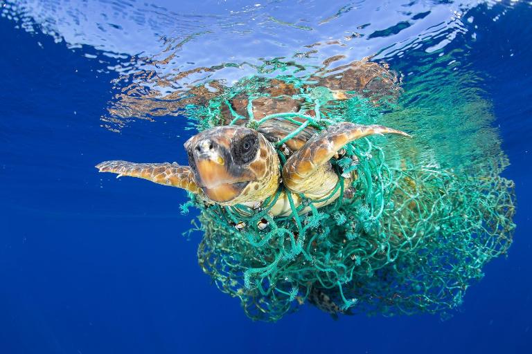 World’s oceans and seas are under the invasion of plastic waste!