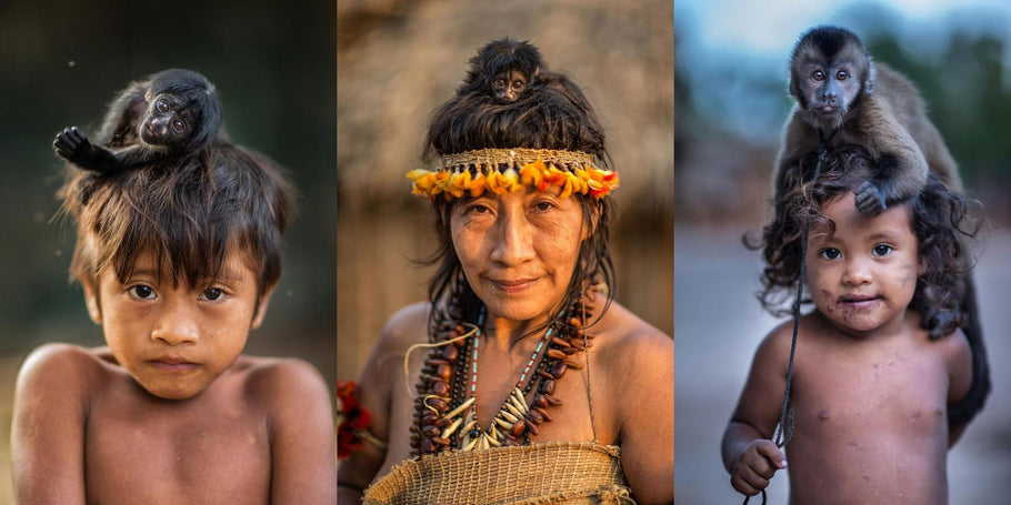 Indigenous lives and current threats to their existence and natural habitat