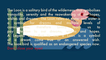 Yellow Loon Sleeping Mask